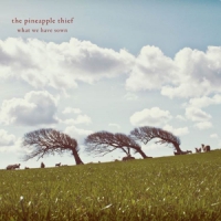 Pineapple Thief What We Have Sown