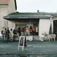 Future Prawn Liebeskummer Und Reis