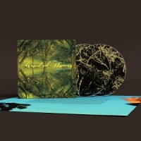 Band Of Horses Everything All The Time (20th Anniv