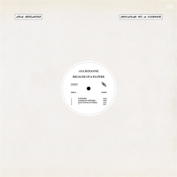 Roxanne, Ana Because Of A Flower