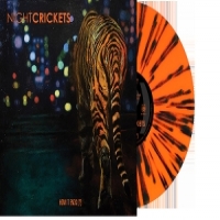 Night Crickets Feat. David J & Vict How It Ends ()
