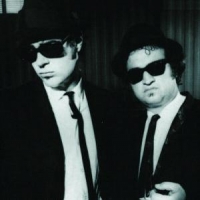 Blues Brothers The Very Best Of The Blues Bro