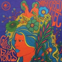 Guided By Voices Mirrored Aztec