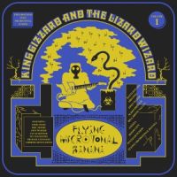 King Gizzard & The Lizard Wizard Flying Microtonal Banana