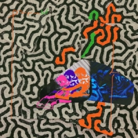 Animal Collective Tangerine Reef