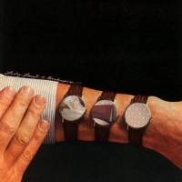 Lady Lamb The Beekeeper Ripely Pine