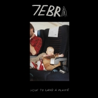 7ebra How To Land A Plane
