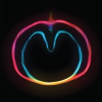 Xtc Wasp Star - Apple Venus - Vol 2