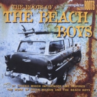 Beach Boys Roots Of The Beach Boys