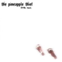 Pineapple Thief Little Man