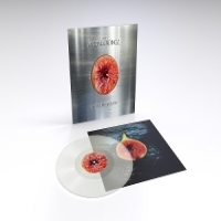 Moonlandingz, The No Rocket Required