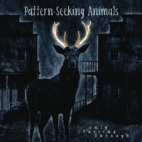 Pattern-seeking Animals Only Passing Through