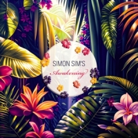 Simon Sim S Awakening