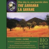 Sound Effects Savanna (zambia)