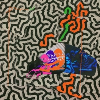 Animal Collective Tangerine Reef -coloured-