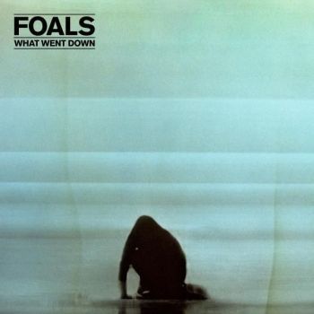 Foals What Went Down (limited Cd+dvd)