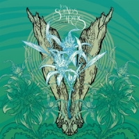 Colour Haze Los Sounds De Krauts