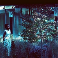 Ellis, Jjjjjerome Vesper Sparrow