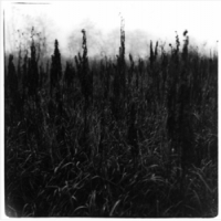 Bennet, David & Vilhelm Bromander Within Reach Of Eventuality