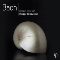 Collegium Vocale Gent / Philippe Herreweghe Bach