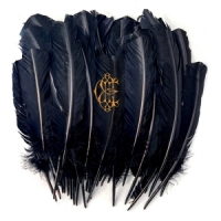 Edwards, David Eugene Hyacinth -coloured-