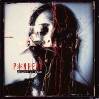 Pinhead Beauty In Pain