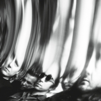 Segall, Ty Chrome