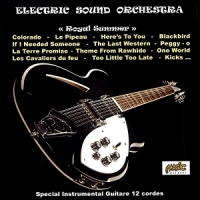 Electric Sound Orchestra Royal Summer