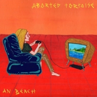 Aborted Tortoise An Beach