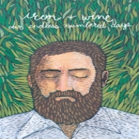 Iron & Wine Our Endless Numbered Days