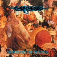 Carcass Symphonies Of Sickness