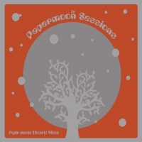 Papir Meets Electric Moon The Papermoon Sessions  Live At Roa