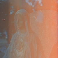 Wolfington, Donovan How To Treat