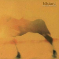 Bastard Acoustic Machine