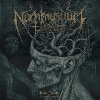 Nachtmystium Live Decay: Roadburn 2012