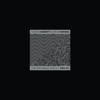 Hannett, Martin & Steve Hopkins The Invisible Girls