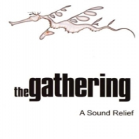 Gathering A Sound Relief