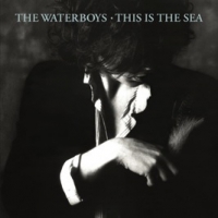 Waterboys, The This Is The Sea