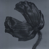 Pet Shop Boys Release