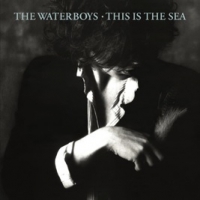 Waterboys This Is The Sea