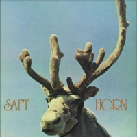 Saft Horn