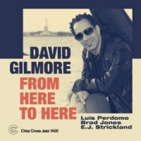 David Gilmore From Here To Here