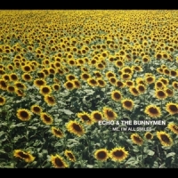 Echo And The Bunnymen Me, I'm All Smiles