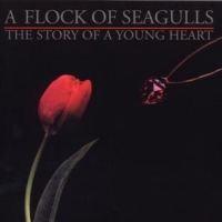 A Flock Of Seagulls Story Of A Young Heart