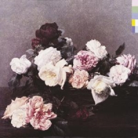 New Order Power, Corruption & Lies