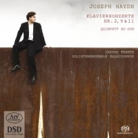 Haydn, J. Piano Concertos & Diverti