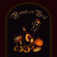 Faetooth Remnants Of The Vessel