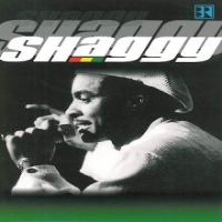 Shaggy Live At Chiemsee Reggae Summer