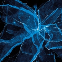 Jason Moran & Blankfor.ms & Marcus Shards