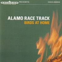 Alamo Race Track Birds At Home